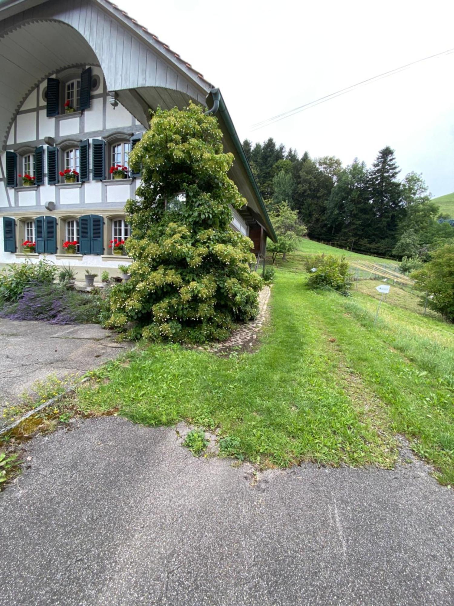 B&B Tannen124 Oberburg 외부 사진